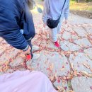 돌산산장 | 부산 갈맷길 트레킹_2025 갈맷길 함께걷기 전국청년 인스타 팸투어 참여후기🌊🚶