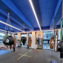 타이거복싱 수청점 이미지