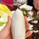 인천 서구청 삼합 맛집 추천 문어 갑오징어 보쌈이 있는 남도술상 서구청점 솔직후기