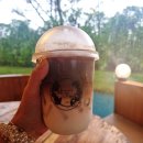 Cafe Forest (카페 포레스트) 이미지