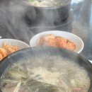 진천장미공원 | 가끔 p가 되고 싶은 그런 날에 진천 여행
