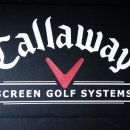 패밀리스크린골프 이미지