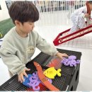 푸른태권도체육관 이미지