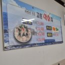 고흥막회집