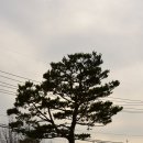 덕곡면 보건지소 | 경남 함양여행 - 1. 함양 개평(介坪)마을을 구경하다 ① 함양 오담고택