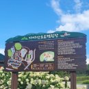 가야산오토캠핑장 이미지