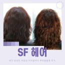 공은업미용실 | 대구 동성로 미용실 SF헤어 뿌리볼륨펌 두피클리닉 후기