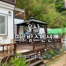프로방스펜션 | 울산독채펜션단체 추천, 가족과 다녀온 프로방스펜션