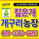 개구리(생물) 및 엑기스 판매 이미지