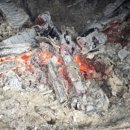 토종닭집 - 진주시 | 토종닭집