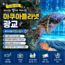 마이대니 | 아쿠아플라넷 광교 입장권 할인 + 방문 후기 수원 광교 아이와 주말 나들이 코스 추천