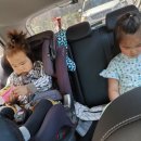 원신근린공원 이미지