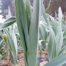 김명복농장 이미지