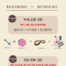 초이테라피 이미지