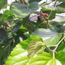 오디하우스 이미지