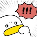 홍고집부대찌개 이미지