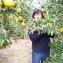 남원읍-92 이미지