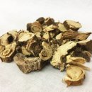 뿌리(Root) 기업