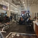 디에스짐 이미지