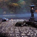 봄여름가을겨울 | 영화 후기 - 봄 여름 가을 겨울