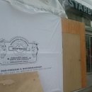 종합운동장 가로수길 이미지