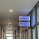 라린느헤어 | 인천 송도 아기미용실 라린느헤어 예약방문 내돈내산