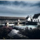 G00201 | 미즈노 파크골프채 종류 국산 파크골프채 성능 비교