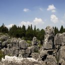 석림3로 이미지