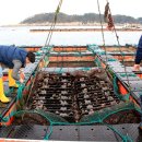 완도참전복집 이미지