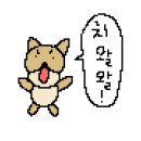 댕댕 shop(샵) 이미지