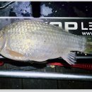 삼인낚시터 이미지