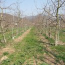 김영석농장 이미지