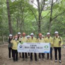 소록소록 이미지