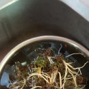 국과반찬 이미지