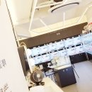 도그라이프 대구강아지분양 이미지