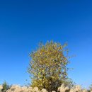 미니스톱 한강양화2점 | 양화 한강공원 라면 먹으러 강제 피크닉 후기 (주차장, 편의점)