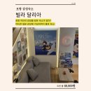 포항 지브리 감성 숙소 l 여행의 온도가 달라지는 곳｜빌라 달리아 301호 후기