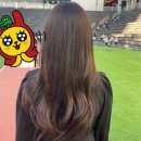 W&J | [W_07💍]파워J예신의 제주스냅후기 2편_제주날씨 비예보를 곁들인,,