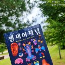 센세이셔널