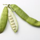 커피 킹 이미지