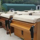 영창삼익중고피아노 이미지