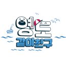 디자인삼진 이미지