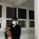 능수탕 이미지