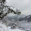 꼬꼬농장 이미지