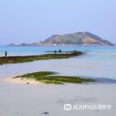겨울 제주도 3박4일 여행코스 지도 이미지