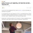 햇님슈퍼 - 전주시덕진구 | [단독] ‘주사이모 논란’ 입짧은햇님 파주 애견카페 사장 됐다...직접 운영 포착