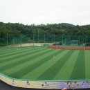 배나물야구장 이미지