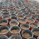 용기네 농장 이미지