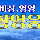 비상(원곡:임재범)영영(원곡:나훈아)// 황영웅 이미지