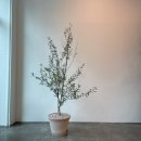 지에이치인테리어 - 서귀포시 중산간서로 192-27 | 지에이치인테리어